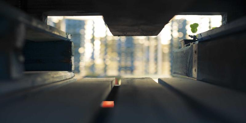 从印钞到多元印刷：重庆长江印钞厂如何以特种印刷与防伪标签应对货币数字化浪潮