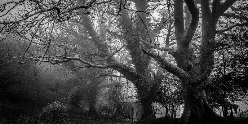 从奥运门票到大型赛事证件：揭秘重庆长江印钞的特种印刷与防伪技术如何守护大型活动安全