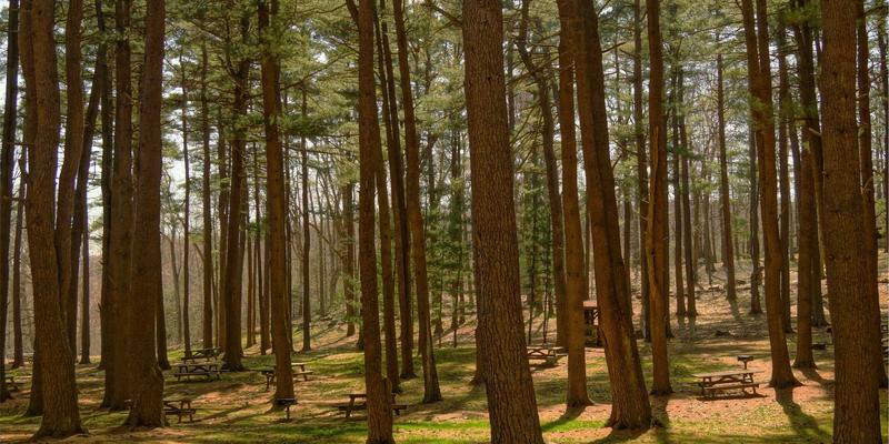 国家级安全典范：解密重庆长江印钞厂人员与物资进出管控体系
