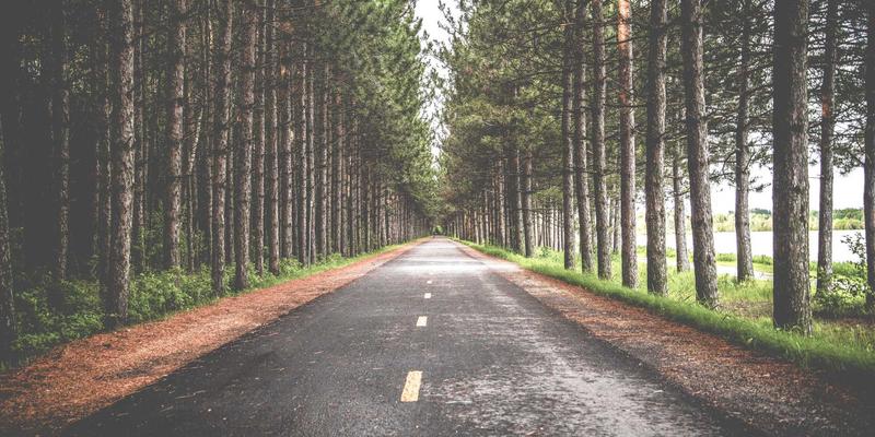 守护国家金融命脉：重庆长江印钞厂的防伪技术与人民币印制贡献