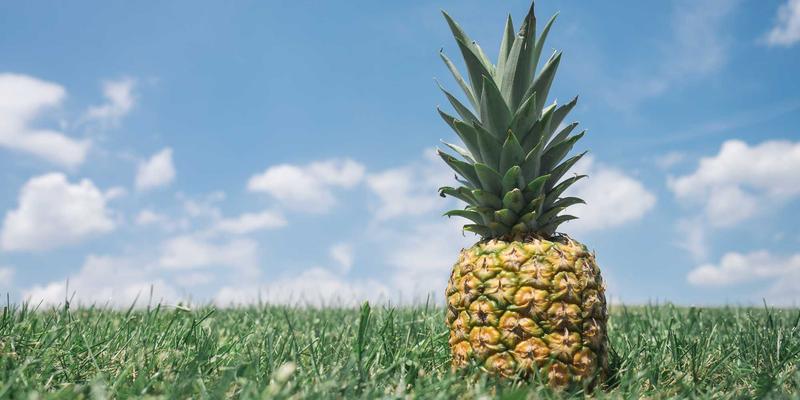 揭秘重庆长江印钞凹版印刷工艺：为何钞票印刷被称为无法复制的防伪艺术