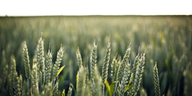 揭秘重庆长江印钞的高精度凹版印刷工艺：安全印刷服务的核心技术优势