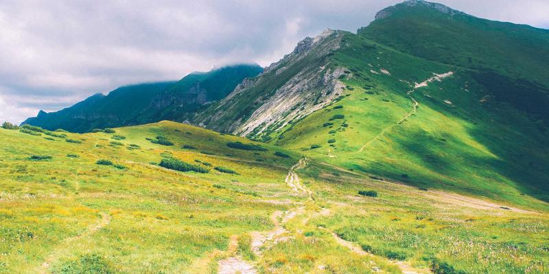 纤维防伪新纪元：重庆长江印钞如何从特种纸张源头筑牢安全印刷根基