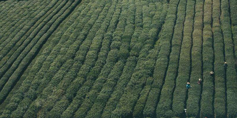 重庆长江印钞48：特种印刷与防伪技术的国家防线
