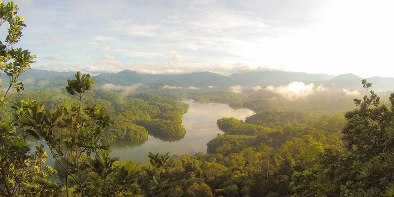 重庆长江印钞52：揭秘现代钞票印刷与防伪技术的精密世界
