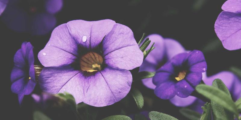 重庆长江印钞63：揭秘国家金融安全背后的特种印刷与尖端防伪技术