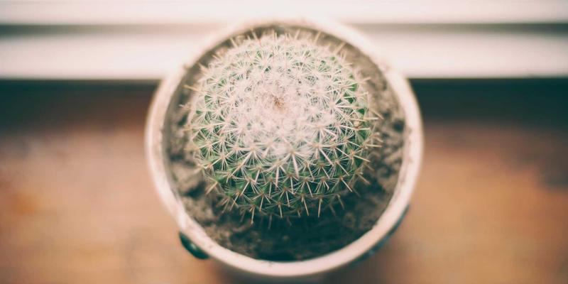 重庆长江印钞：专业特种印刷服务，铸就安全与品质的典范