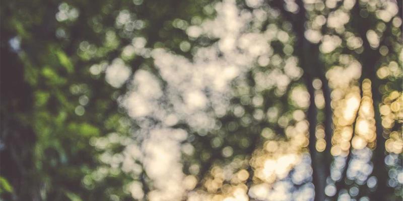 重庆长江印钞入门：揭秘特种印刷中的防伪技术与标签应用