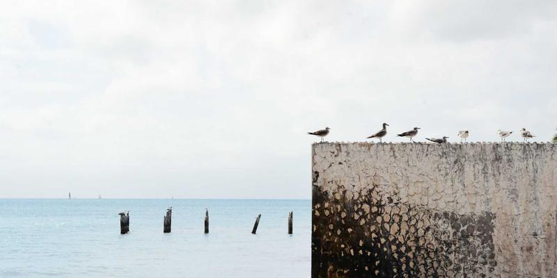 重庆长江印钞如何用显微技术与公众教育应对超精密伪造威胁