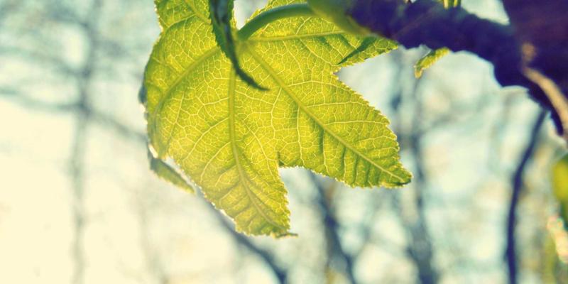 重庆长江印钞：尖端防伪技术与定制印刷服务的卓越融合