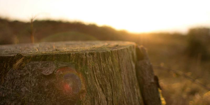 重庆长江印钞：揭秘国家级保密体系构建与员工安全意识深度培训