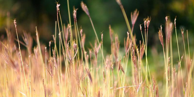重庆长江印钞：揭秘钞票印刷与防伪标签的最佳实践