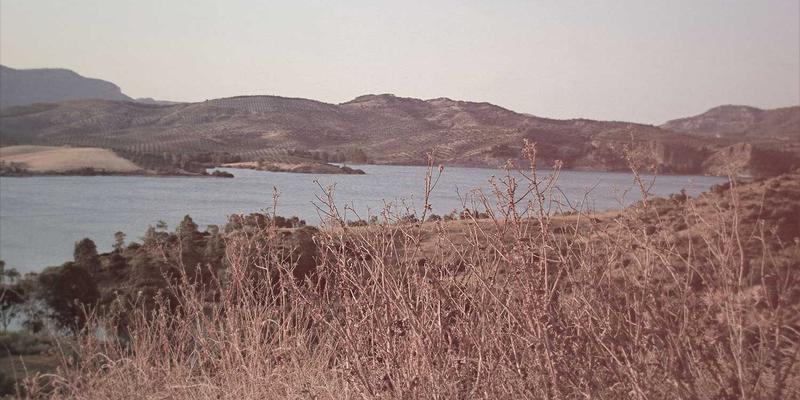 重庆长江印钞：特种印刷与防伪标签技术的卓越实践